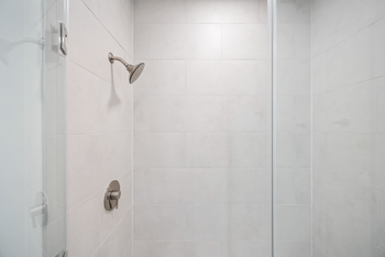 Shower in bathroom